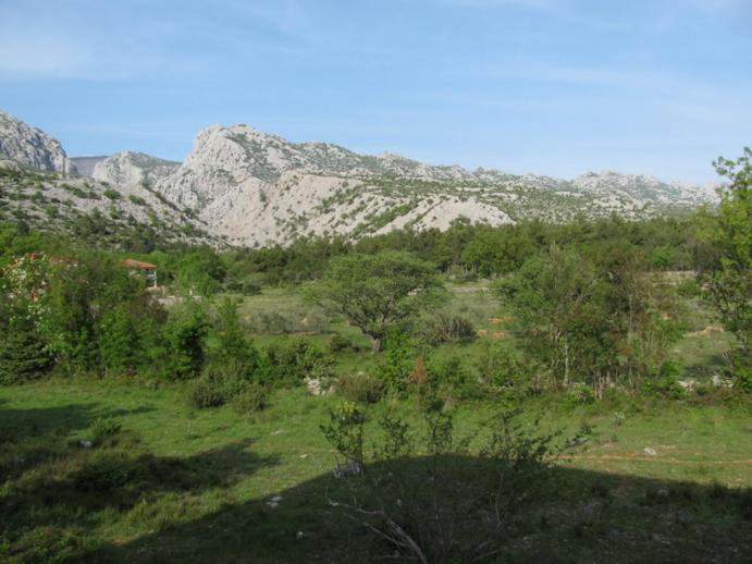 Paklina Apartments Starigrad Paklenica Esterno foto