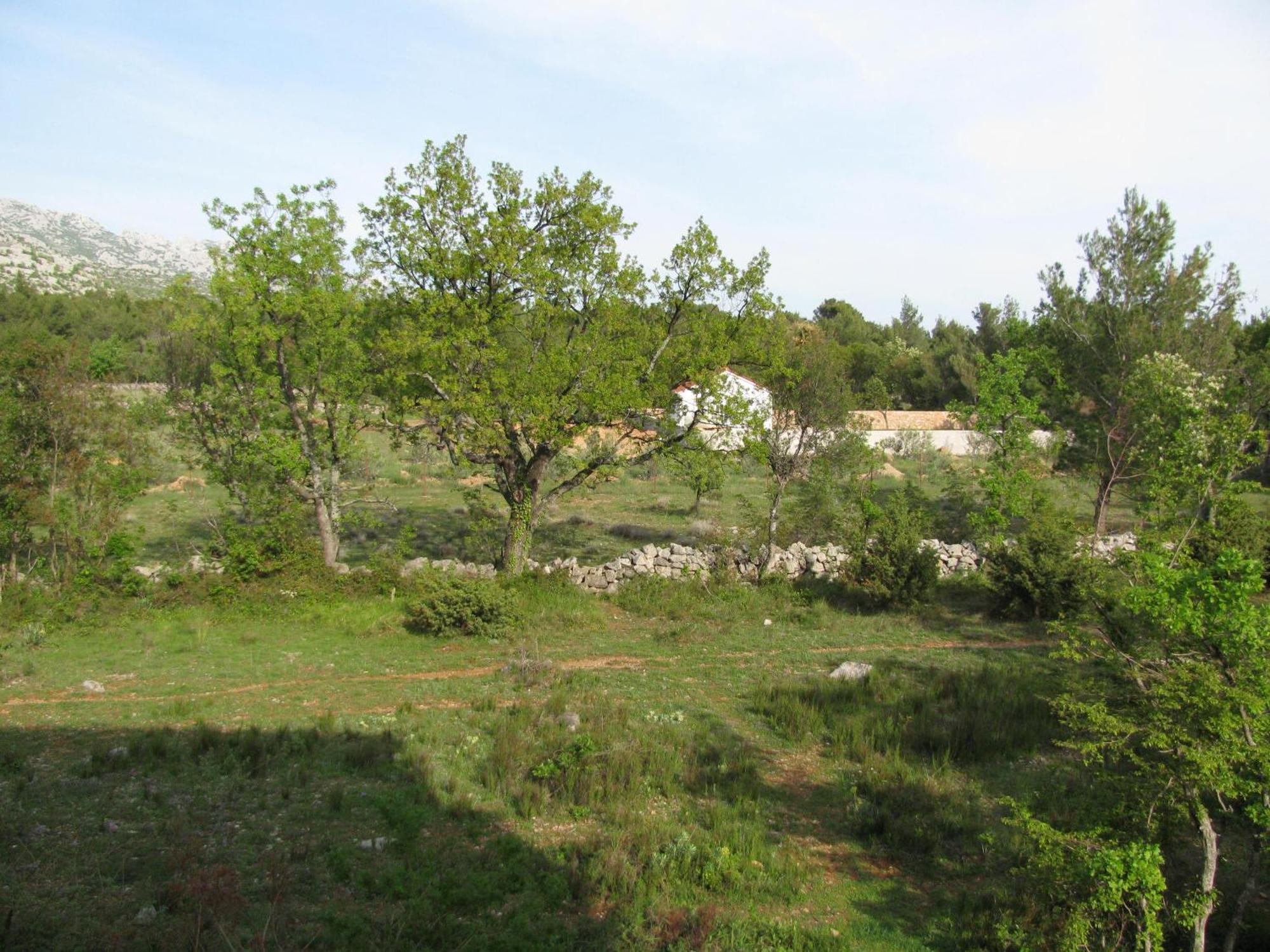 Paklina Apartments Starigrad Paklenica Esterno foto